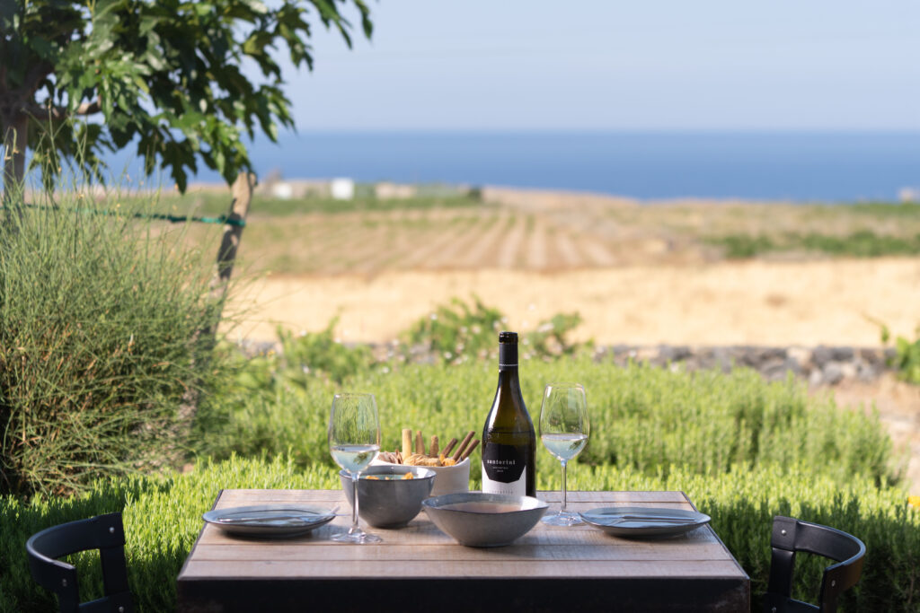 VASSALTIS VINEYARDS