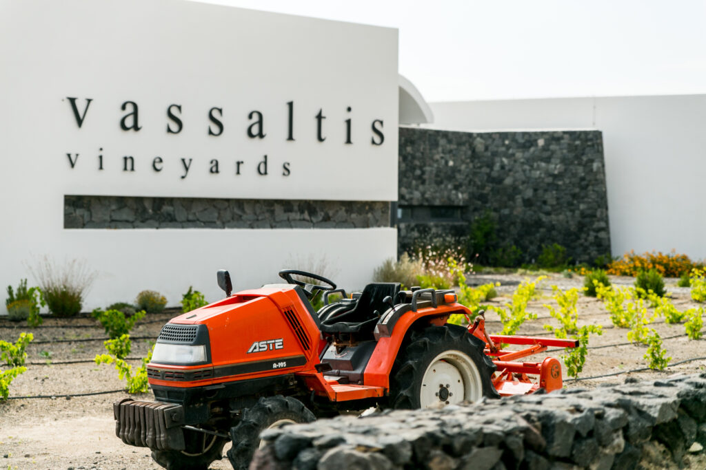 VASSALTIS VINEYARDS