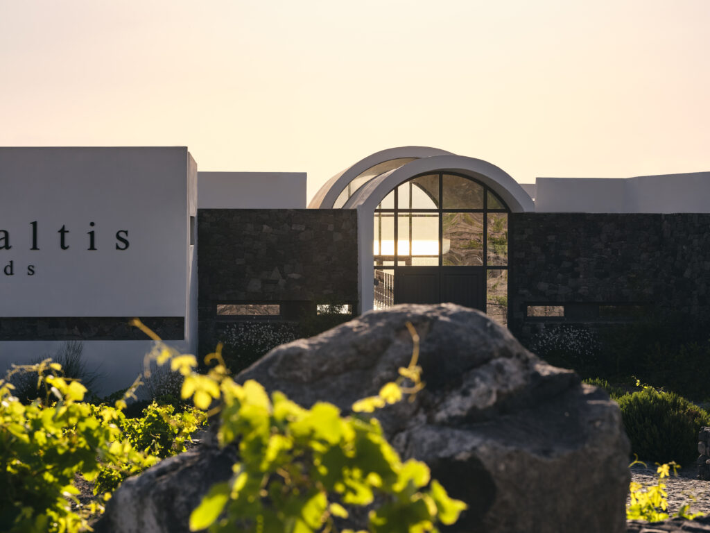 VASSALTIS VINEYARDS